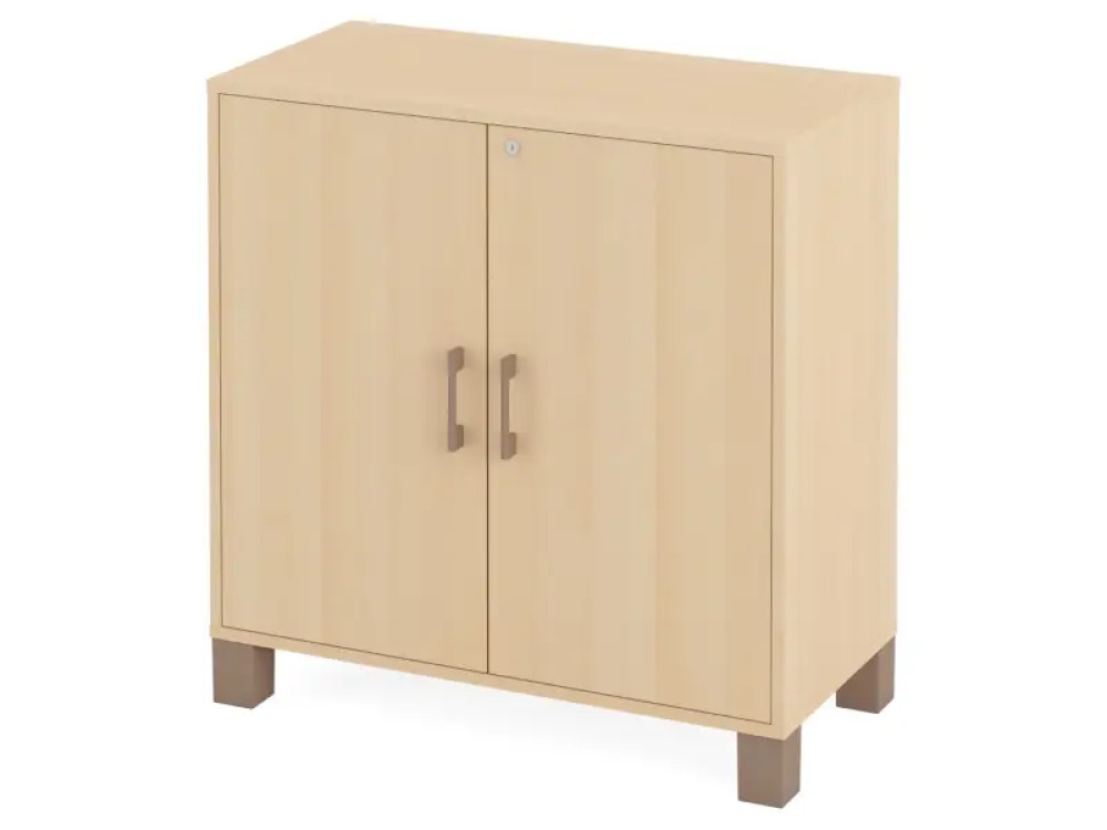 Large cabinet with shelves and door with lock. Birch. Fresh Collection