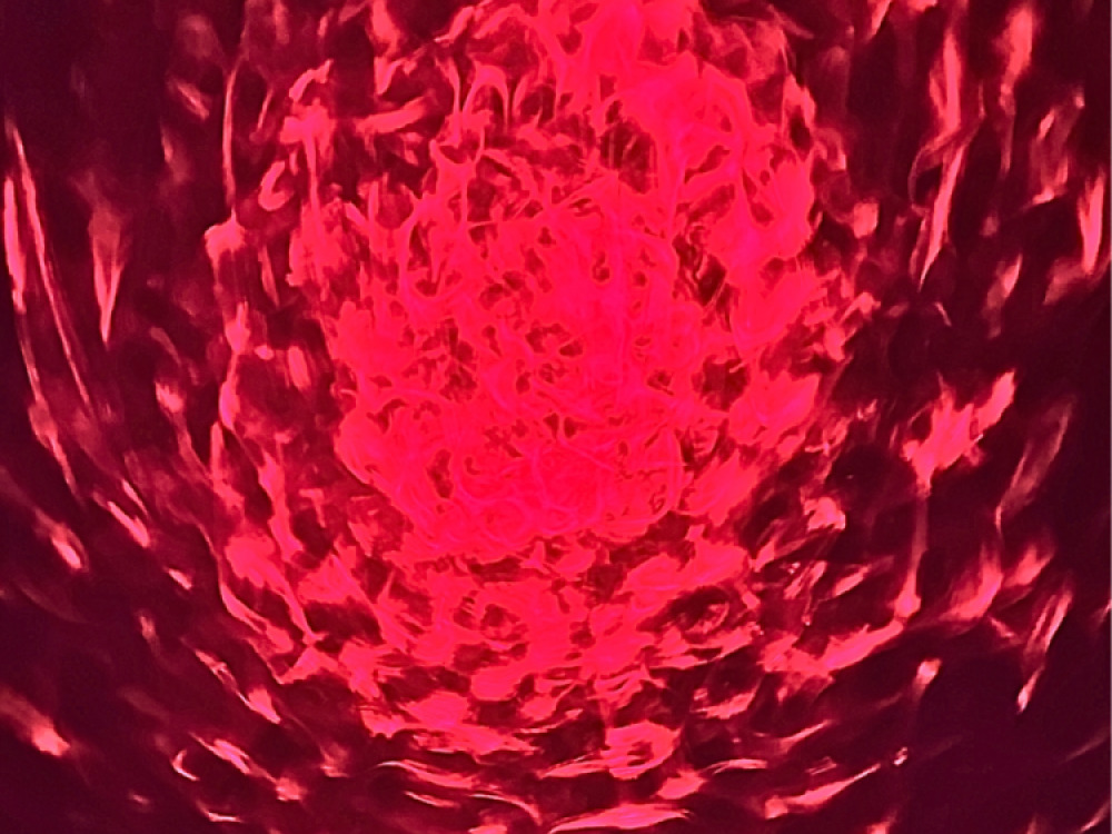 LED Cloud / Water Projector