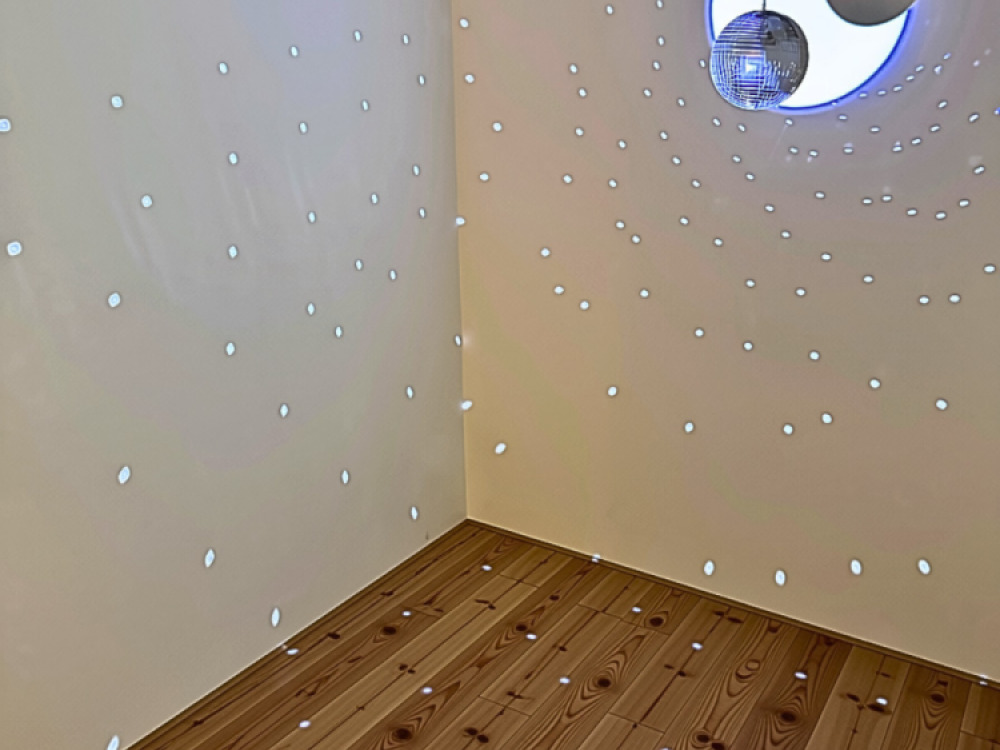 Projector for Mirror Balls