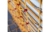 Climbing Net.