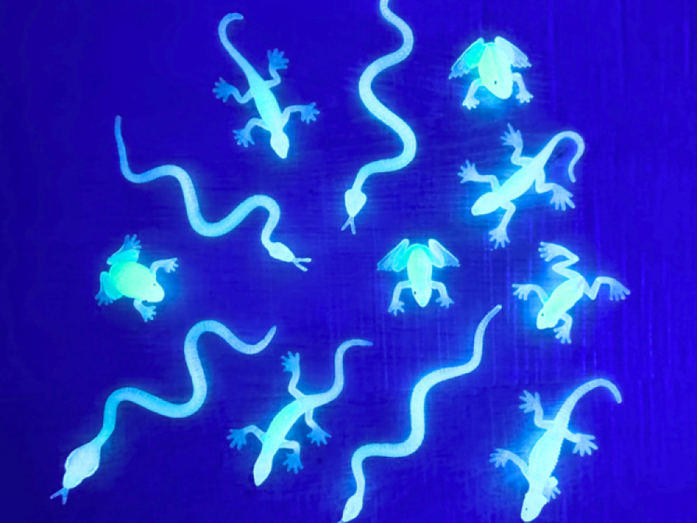 Glow In Dark Reptiles Set
