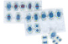 Meiosis and mitosis. Demonstration set