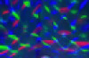 Kaleidoscope Rotating Disco Ball