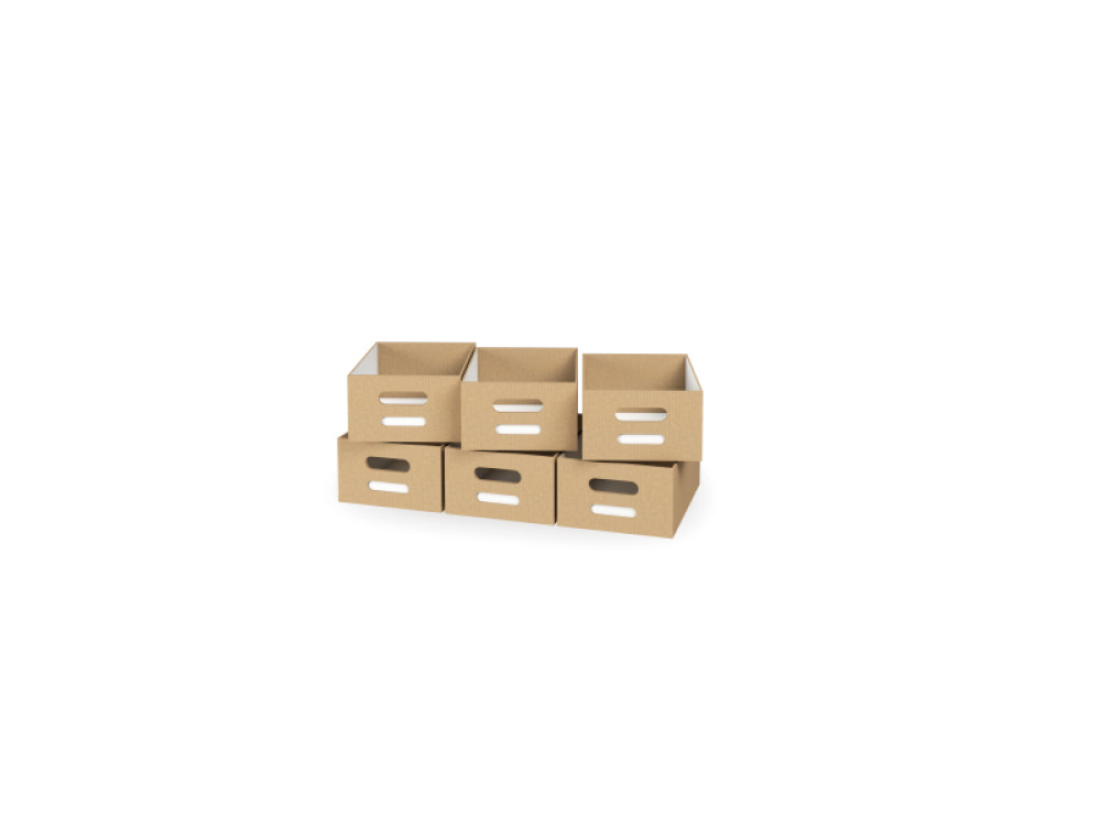 6 - big cardboard trays - Eko