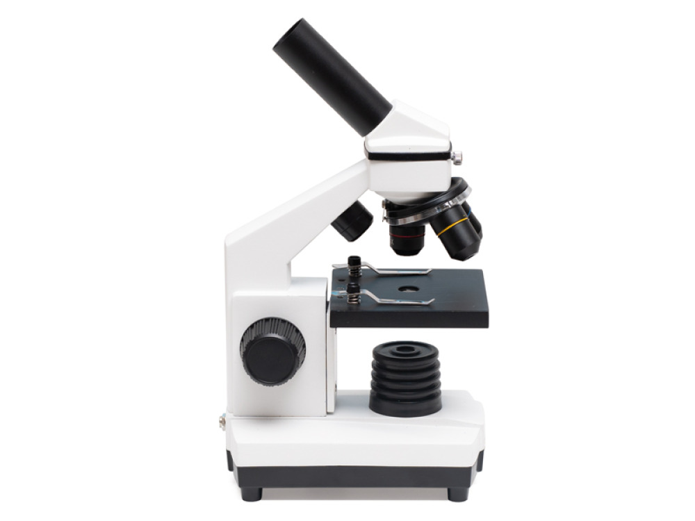 Microscope