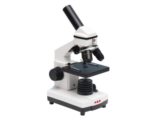 Microscope