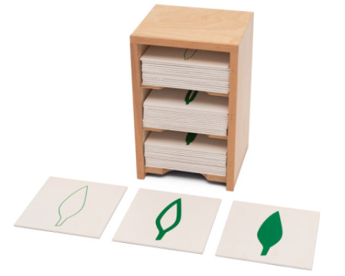 Small botanical cabinet. Cabinet with botanical cards