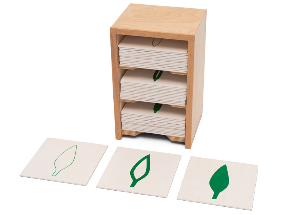 Small botanical cabinet. Cabinet with botanical cards