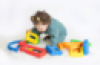 Softie, Early Years Mirrors