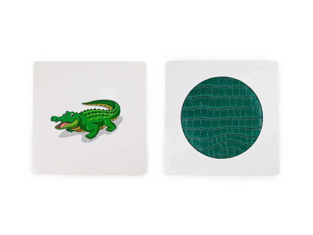 Sensory Hand Feel Plates
