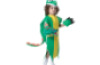 Dragon s costume