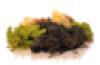 Mixed Moss Pack