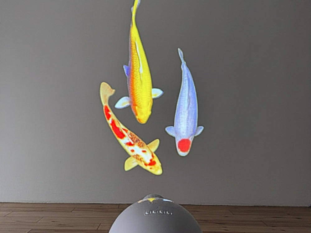 Sensory Vista Pro Projector