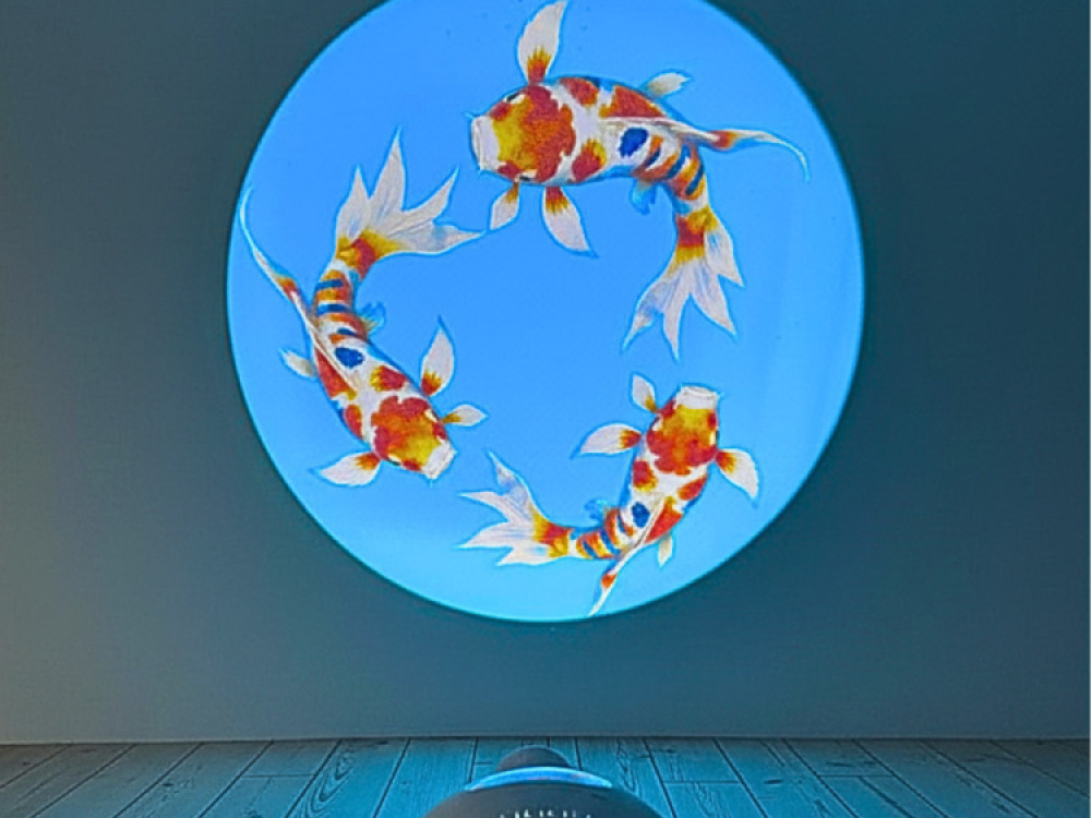 Sensory Vista Pro Projector