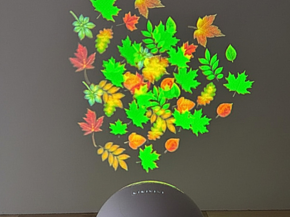 Sensory Vista Pro Projector