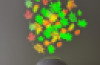 Sensory Vista Pro Projector
