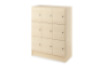 PRIMA FEATURES Unit with a wooden doors and a glass doors birch