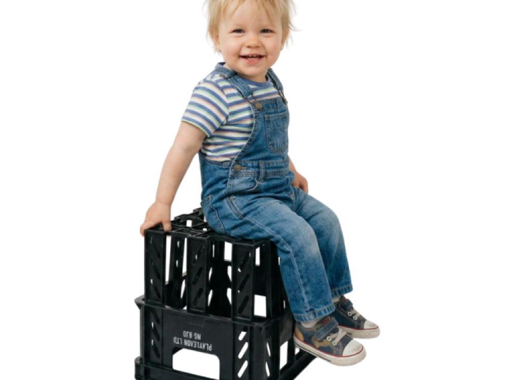 Milk Crates (Pack of 4)