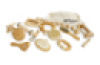 Massage Kit Large – 14 pieces