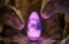 Rechargeable Dinosaur Egg