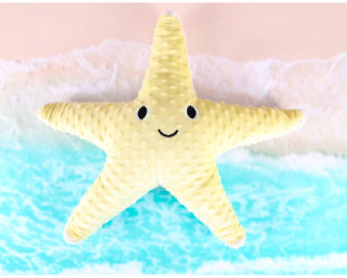 Weighted Starfish 1.6kg