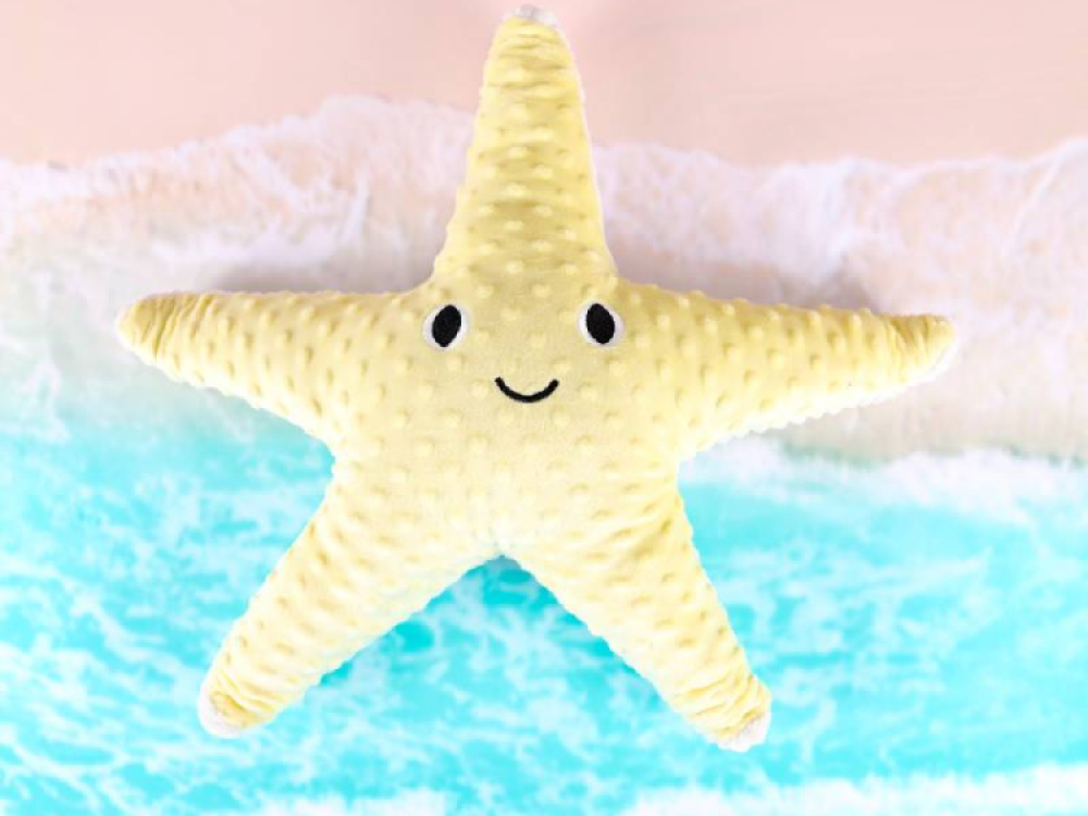 Weighted Starfish 1.6kg