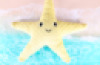 Weighted Starfish 1.6kg