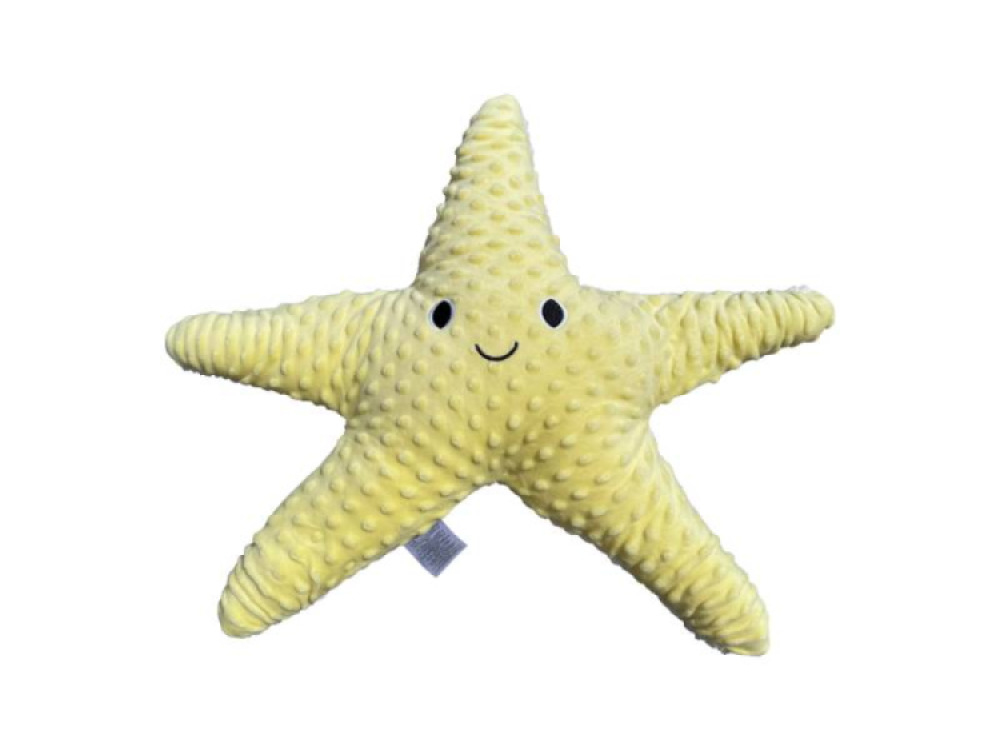 Weighted Starfish 1.6kg