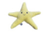 Weighted Starfish 1.6kg