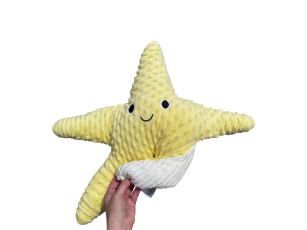Weighted Starfish 1.6kg