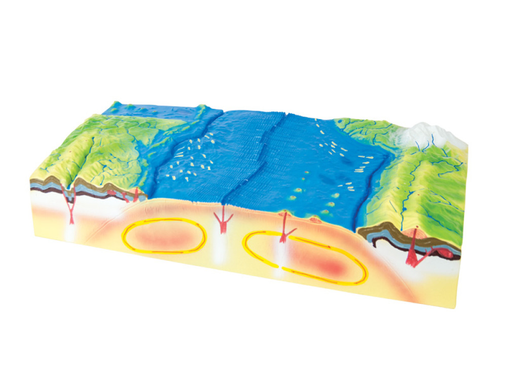 Model of modular makeup & earth terrain