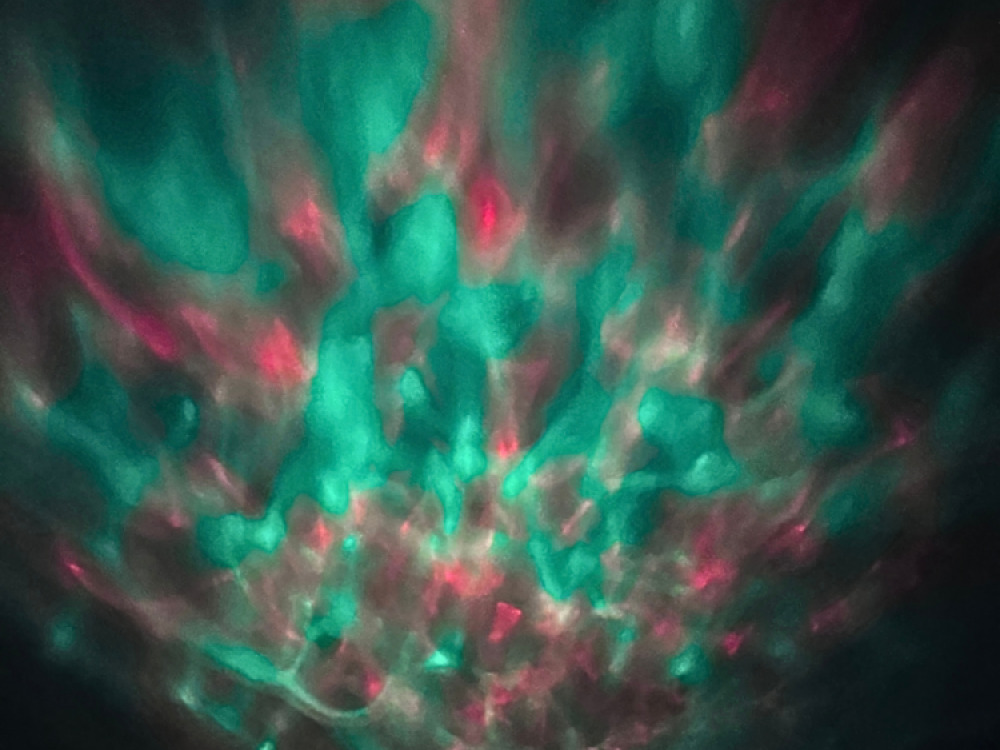 Ocean wave projector with sounds and speaker.