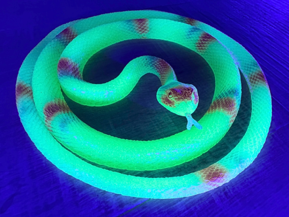 UV Kit Large
