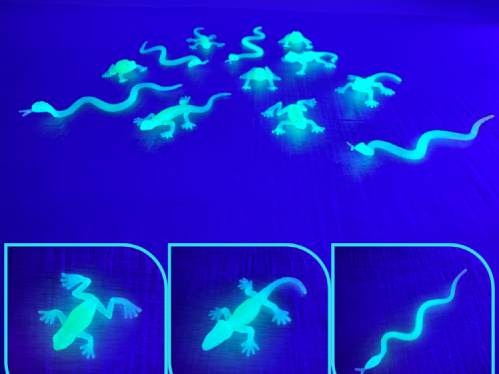 UV Kit Large