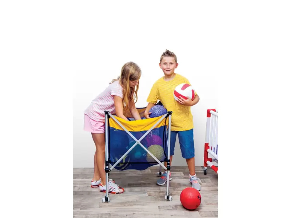 Ball carying cart small