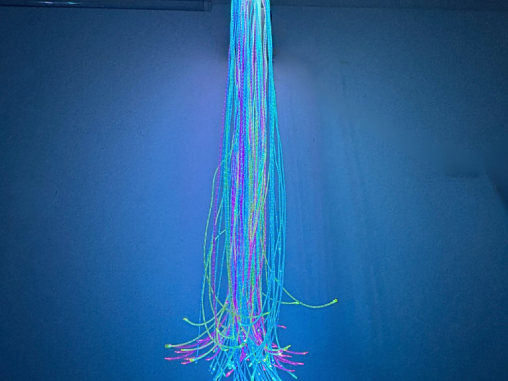 Fibre Optic Shower Support
