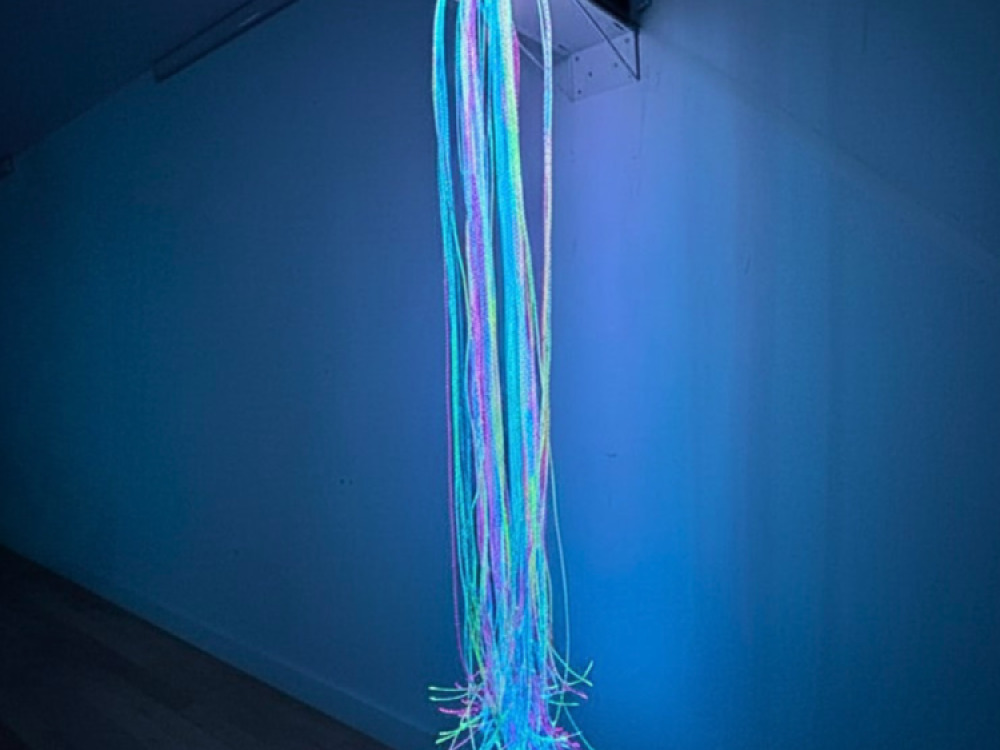 Fibre Optic Shower Support