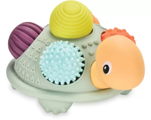 Turtle with sensory balls