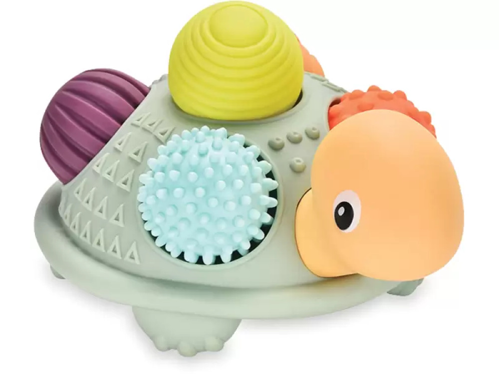 Turtle with sensory balls