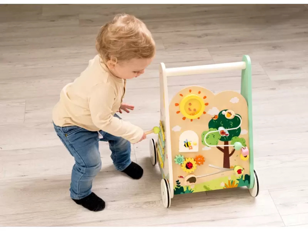 Forest. Wooden walker with shape sorter