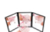 Three Fold Mirror