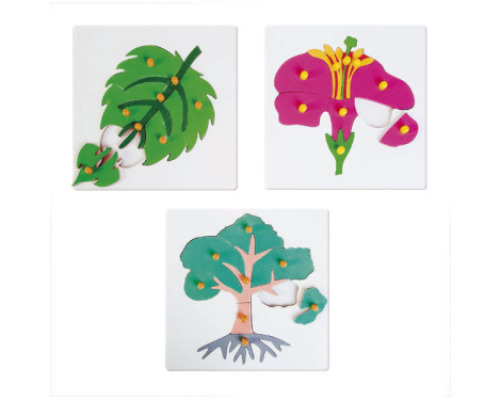 Botanical puzzle