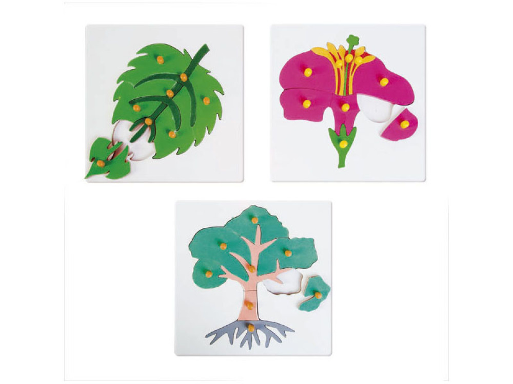 Botanical puzzle