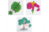 Botanical puzzle