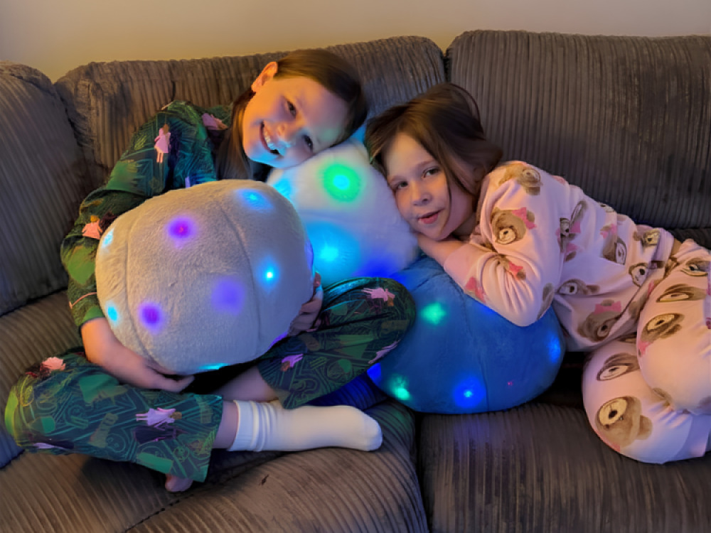 LED Massage Cushion – Blue