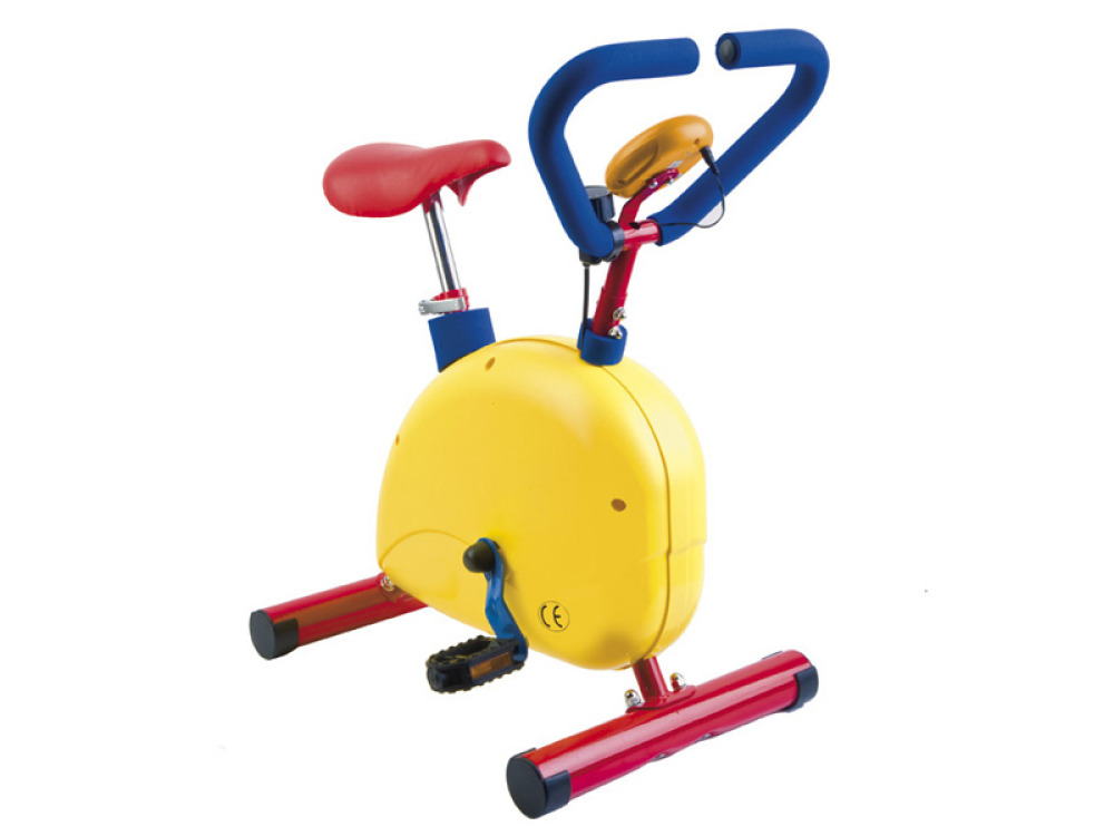 Training bike