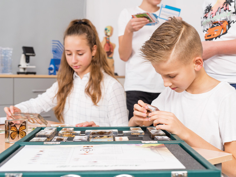 Animalia Kingdom. The suitcase with specimens, worksheets and lesson scenarios